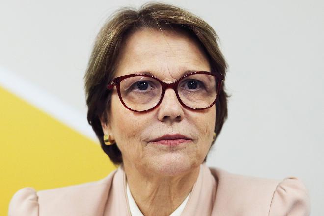 Tereza Cristina diz querer Plano Safra 2021/22 melhor do que o de 2020/21