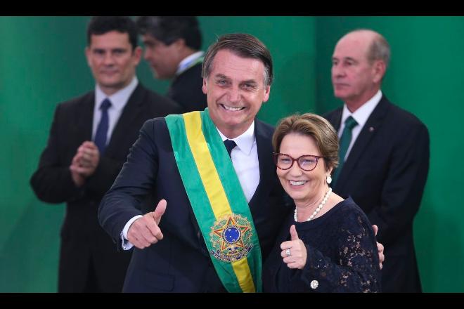 Tereza Cristina é ‘plano de Bolsonaro’ para presidência da Câmara, diz jornal