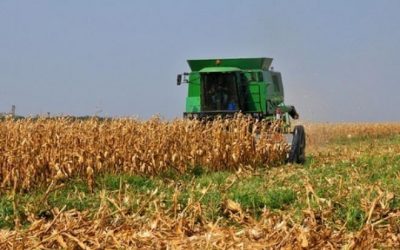 Valor da produção agropecuária do Estado registra crescimento de 28%