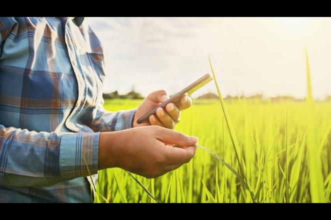 Apenas 23% dos produtores rurais usam internet na produção agrícola