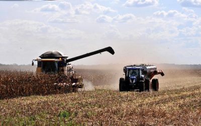 Mato Grosso do Sul deve bater novo recorde de safra em 2021