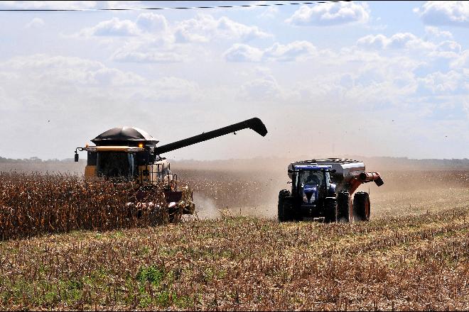 Mato Grosso do Sul deve bater novo recorde de safra em 2021