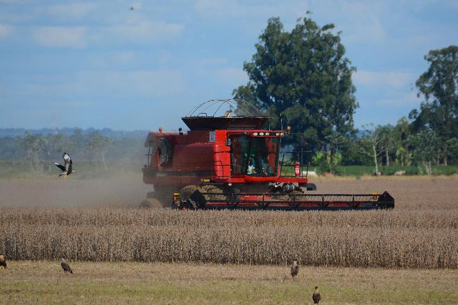 Brasil pode ser líder em exportações