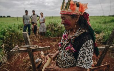 STF julga nesta segunda ação para reverter anulação de terras indígenas em Mato Grosso do Sul