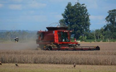 Rússia e China fazem queixas contra qualidade de carne e soja do Brasil