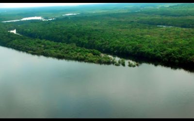 Governadores discutem parcerias com Estados Unidos na área climática