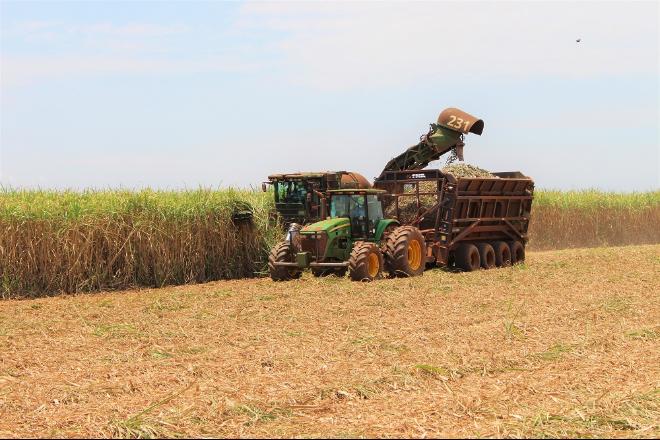 Mato Grosso do Sul bate recorde na produção de açúcar