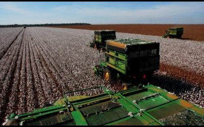 Com o agravamento da pandemia, pagamento do FCO é prorrogado até dezembro