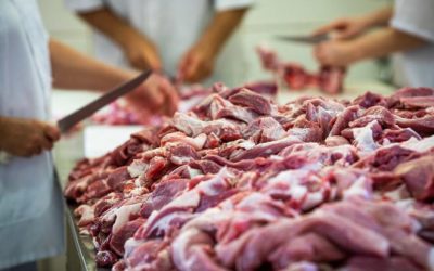 Mato Grosso do Sul atinge recorde na exportação de carne suína