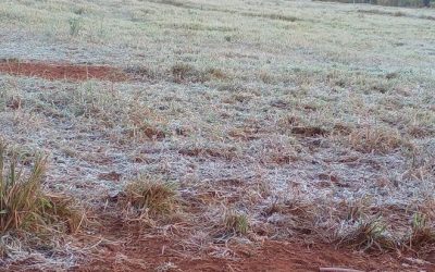 Com chance de neve, interior de MS registrou temperaturas negativas nesta madrugada