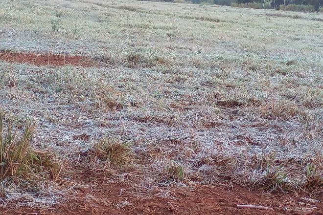 Com chance de neve, interior de MS registrou temperaturas negativas nesta madrugada