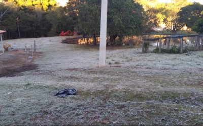 Geada, chuva e até neve: nova onda de frio nesta semana exige cuidados com a saúde; veja quais