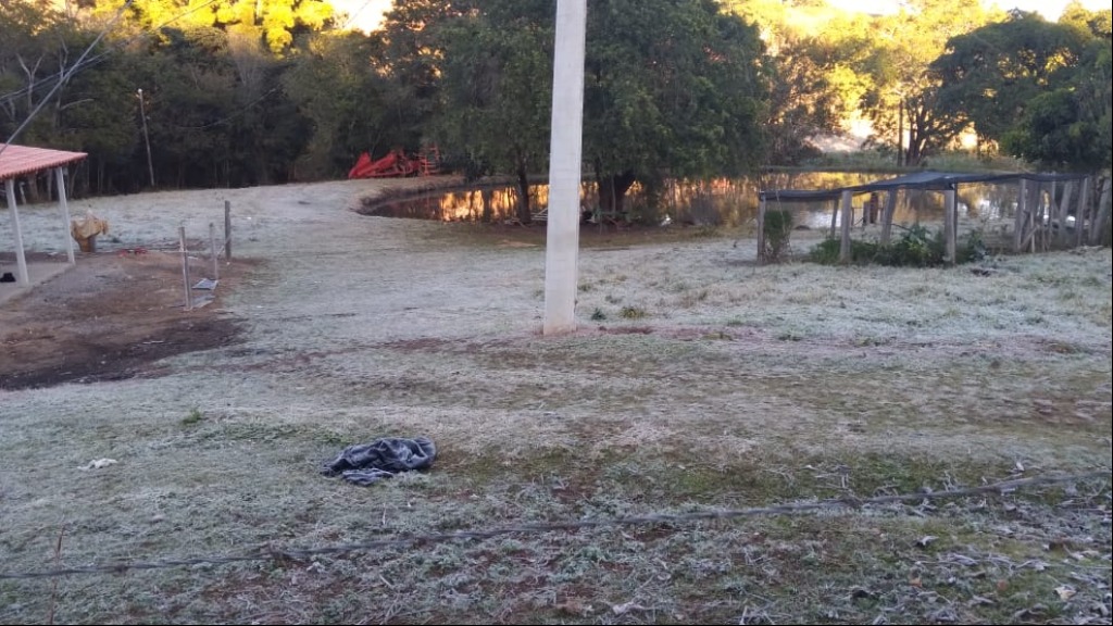 Geada, chuva e até neve: nova onda de frio nesta semana exige cuidados com a saúde; veja quais