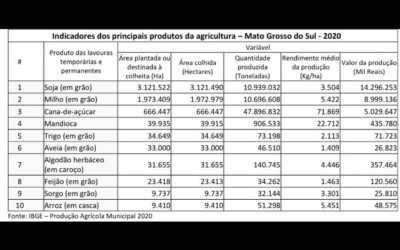 Valor da produção agrícola de MS bate recorde e atinge R$ 29,5 bilhões em 2020