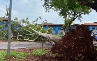 Com até 70% das escolas prejudicadas por temporal, aulas foram suspensas em Campo Grande