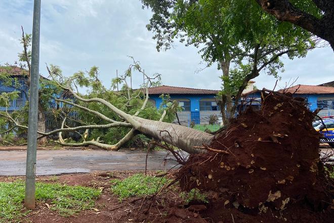 Com até 70% das escolas prejudicadas por temporal, aulas foram suspensas em Campo Grande