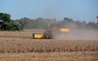 Ministério da Agricultura elegeu 13 cidades de MS como as mais ricas no agronegócio em todo o país