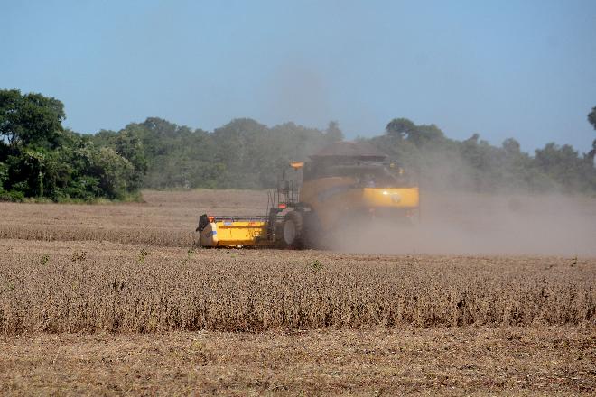 Ministério da Agricultura elegeu 13 cidades de MS como as mais ricas no agronegócio em todo o país