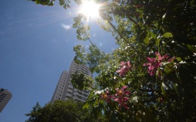 Próxima semana será de tempo estável, sem chuvas e altas temperaturas em Mato Grosso do Sul