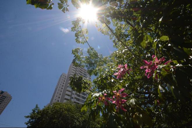 Próxima semana será de tempo estável, sem chuvas e altas temperaturas em Mato Grosso do Sul