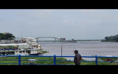 Porto no Rio Paraguai pode alterar ciclo de cheia do Pantanal