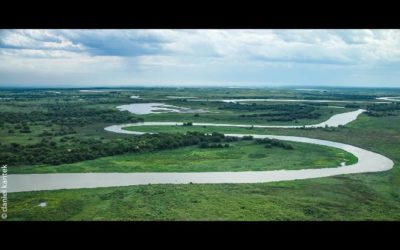 Ibama analisa processos para autorização de hidrovia entre Cáceres e Corumbá