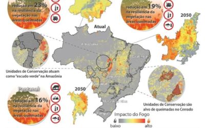 Aquidauana, Corumbá e Porto Murtinho estão entre 40 municípios que mais sofrem com incêndio