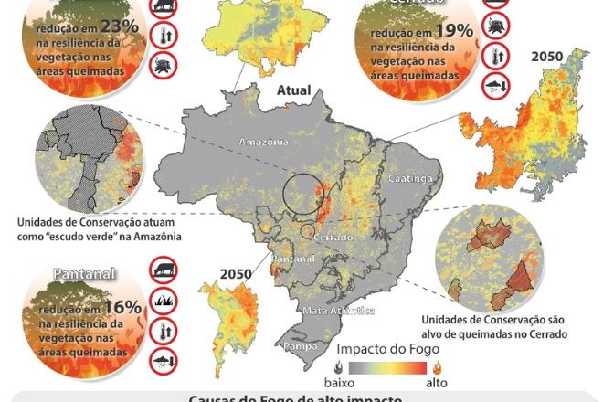 Aquidauana, Corumbá e Porto Murtinho estão entre 40 municípios que mais sofrem com incêndio