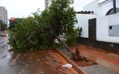 Após chuva causar estragos, frio chega com mínima de 5ºC na Capital