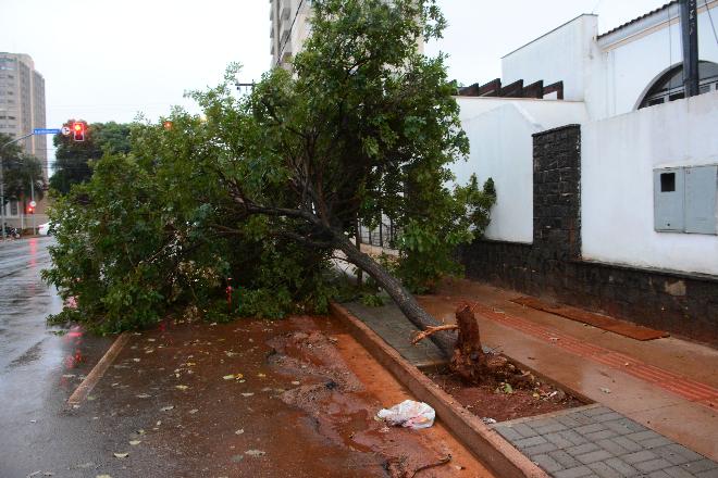 Após chuva causar estragos, frio chega com mínima de 5ºC na Capital