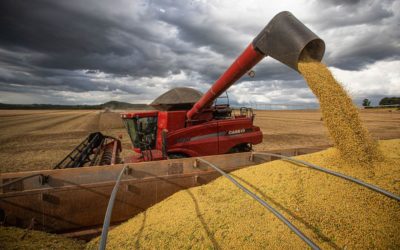 Fundos para investir no agro atraem 50 mil pessoas em 6 meses