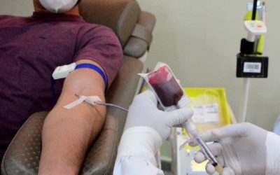 Doar sangue a cada três meses pode salvar até 16 vidas por ano