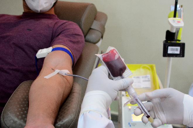 Doar sangue a cada três meses pode salvar até 16 vidas por ano