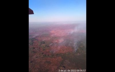 Com seca de 4 anos, crescem queimadas no Pantanal em 2022