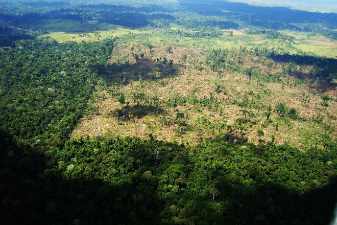 Amazônia tem, de novo, mais de 8 mil km² de florestas derrubadas pelo desmatamento