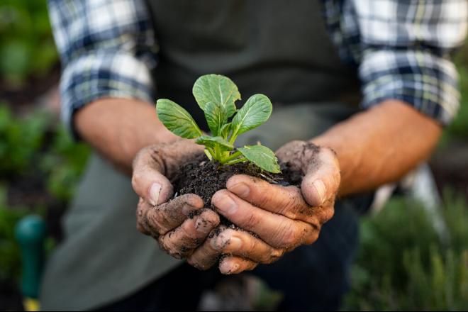 MS se destaca por pioneirismo em agropecuária mais sustentável