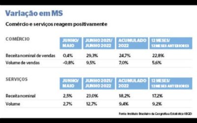 Comércio e serviços têm crescimento e expectativa é de desempenho positivo