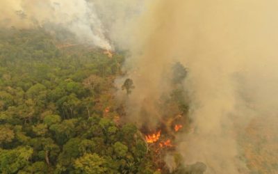 Pelo 3.º dia consecutivo, Amazônia tem mais de 3.000 queimadas simultâneas