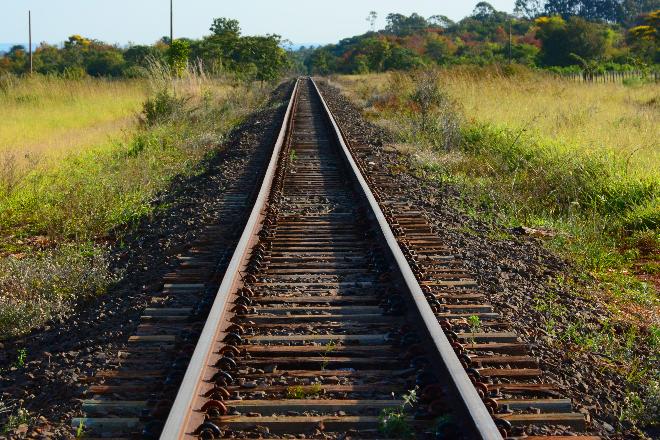 Gigante da celulose enfrenta dificuldade para conseguir autorização de trecho ferroviário