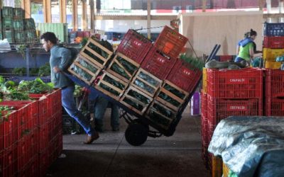 Conab confirma queda de preços de hortifrútis em setembro em todo o País