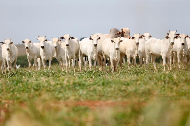 Produtores de MS têm alta de 20% em índice de contratação de crédito