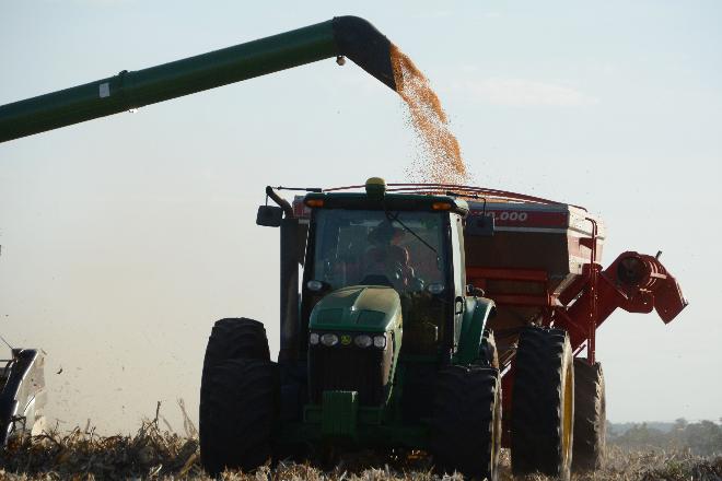 Com 96 sacas por hectare, produção de milho se confirma como segunda melhor