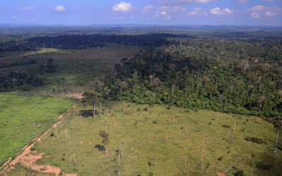 Em 20 anos, MS registrou uma das maiores expansões de áreas agrícolas do país