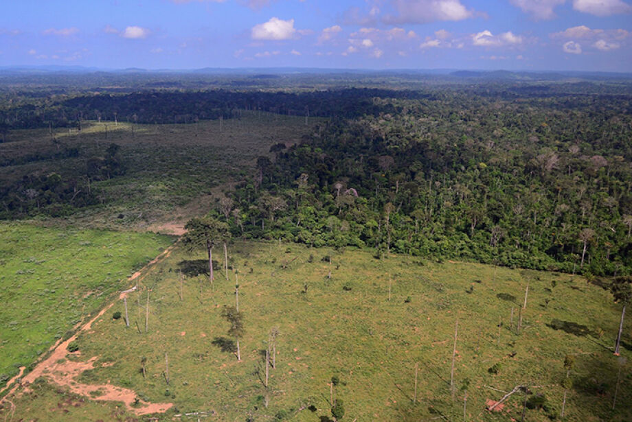 Em 20 anos, MS registrou uma das maiores expansões de áreas agrícolas do país