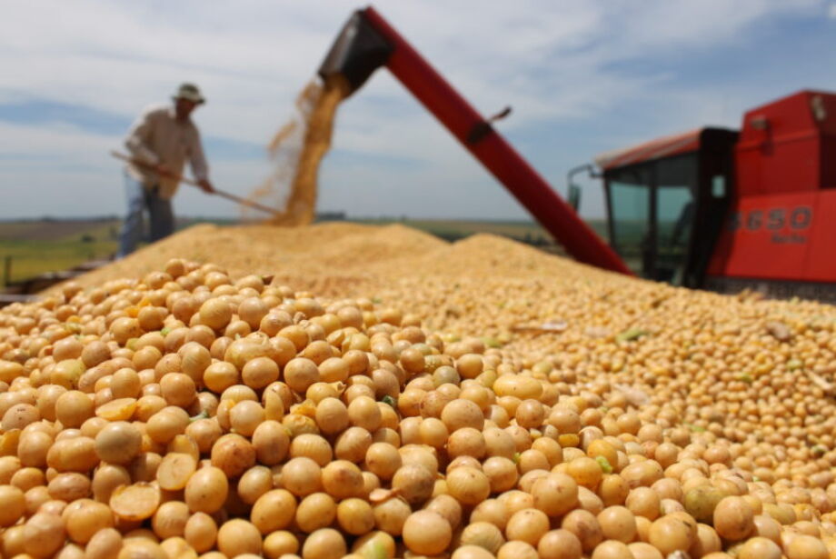 Primeiros 7 meses de 2022 apresentaram superávit na balança comercial de Mato Grosso do Sul