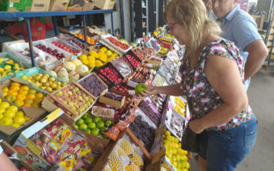 Após desobstrução das vias, produtos devem chegar normalmente ao Ceasa-MS