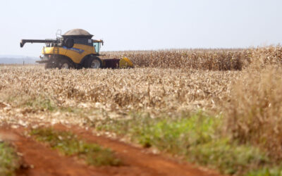 Mato Grosso do Sul é um dos 8 estados com maior percentual de crescimento na safra de 2023