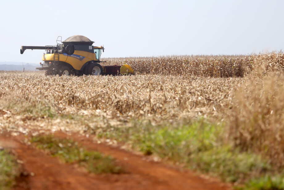 Mato Grosso do Sul é um dos 8 estados com maior percentual de crescimento na safra de 2023