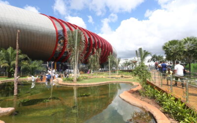 Bioparque Pantanal funcionará em horário alternativo nesta sexta-feira de jogo do Brasil