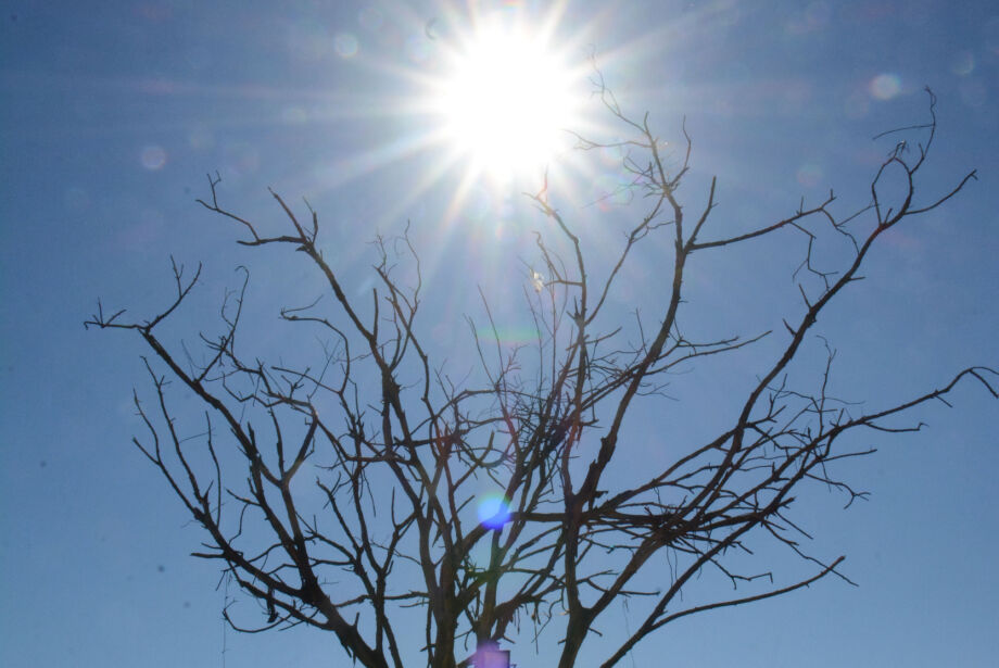 Jogo entre Brasil x Croácia será de calor de 40ºC em Mato Grosso do Sul